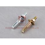 CE SS Screw Elevator Double Wing Casing Anchor Bolt For Elevator Lift Parts for sale