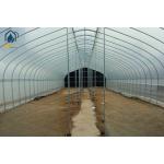 Durable Single Span Tunnel Greenhouse For Hydroponic Vegetable And Fruit Planting for sale