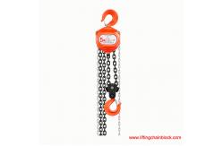 China 5 Ton Mining Chain Fall 3M Lifting Chain Block supplier