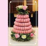 Stackable 10 Layer Plastic Macaron Packaging 0.8mm PVC Christmas Tree Macaron Tower