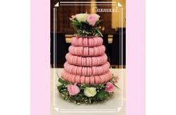 China Stackable 10 Layer Plastic Macaron Packaging 0.8mm PVC Christmas Tree Macaron Tower supplier