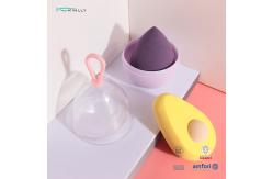 China Fruit Shaped Makeup Sponge Set 4 PCS Latex Free Liquid Foundation Blender OEM supplier