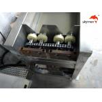 Diffferent Size 100L Anilox Roller Cleaning Equipment Adjustable Timer RoHS Approval