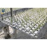 Large Scale NFT Vertical Hydroponic Farming System 100mm Width For Vegetables Herbs