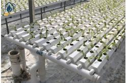 China Large Scale NFT Vertical Hydroponic Farming System 100mm Width For Vegetables Herbs supplier