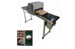 China Continuous Eggs Automatic Batch Coding Machine With 0mm - 5mm Printing Distance supplier