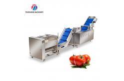 China SS Fruit And Vegetable Hair Roller Bubble Cleaning Machine 800KG/H supplier