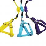 Pet Explosion Proof Leash Reflective Dog Nylon Leash Medium And Large Dogs for sale