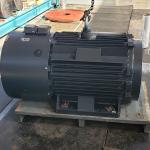 45kw 60rpm High Power Permanent Magnet Motor Air Cooled PMM Motor For Belt Conveyor for sale