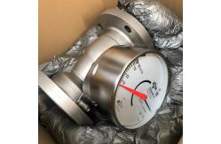 China RAMC Variable Area Flowmeter RAMC08-A1SS-74V8-T90NNN / B1 / CN / P6 / IE1 supplier