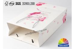 China PP Rope Handle 	Custom Paper Shopping Bags With Fancy Design Printing supplier