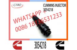 China Diesel Engine Spare Parts NT855 NTA855 Fuel Injector 3018566 3054218 supplier
