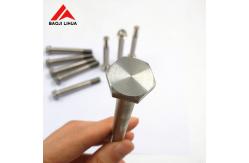 China Hot Titanium Hex Bolts Nuts Gr2 M8 M10 M12 DIN933 Forged Surface supplier