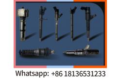 China 0445110064 DELPHI Fuel Injector supplier