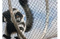 China Ferruled And Woven Zoo Wire Mesh With 2mm In 50mm Aperture supplier