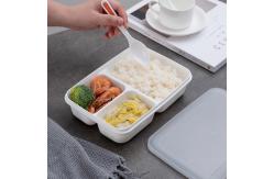 China Eco Friendly BPA Free PP Plastic Bento Lunch Box For Kids supplier