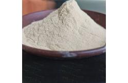 China Food Grade Thermostable Alpha Amylase Food Enzyme Activity Customized supplier