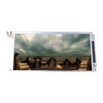 LQ089B1LS11 original in stock 8.9 inch LCD Display Screen for sale