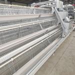 A Type Free Design Hot Galvanized Chicken Cage 4 layers for sale