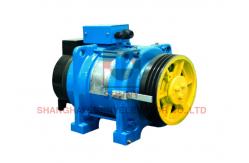China Machine Single Wrap Load 250kg Home Elevator Motor With 20 Poles supplier