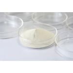 PH Range 2.5-11.5 Bakery Enzyme Perfect Solution for Increased Bread Volume and Smooth Noodles for sale