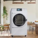 Vacuum Freeze Dryer Lyophilizer Machine Household Freeze Dryers Lab Freeze Dryer for sale