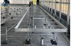 China Greenhouse Galvanized Steel Rolling Grow Tables With Built In Drainage System supplier