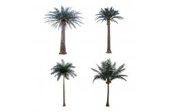 China Wind Resistance Anti Aging 1200cm Artificial Tropical Tree For Hotle supplier