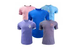 China Making the Best Player Version Jersey Design Material Cutting Sewing Printing Checkpoint supplier