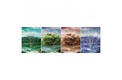 China PP / PET Direct Custom Lenticular Printing 3D PIctures For Calendar supplier
