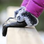 High quality Sheepskin leather gloves rabbit fur for sale