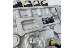China Fuel Injection Pump BH6P110 5676 BH6P120 P10Z010 P10Z002 For C6121 Engine supplier