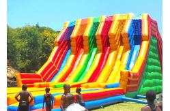 China Huge Shark Inflatable Slide With PVC Material / Blow Up Water Slide supplier