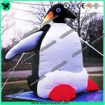 Inflatable Penguin Animal,Inflatable Penguin Mascot,Inflatable Penguin Character for sale
