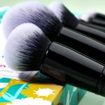 Neo Mint Face And Eye Makeup Brush Set With Bag Antibacterial