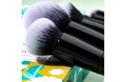 China Neo Mint Face And Eye Makeup Brush Set With Bag Antibacterial supplier