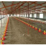 Automatic Chicken Feeder System Broiler Poultry Equipment