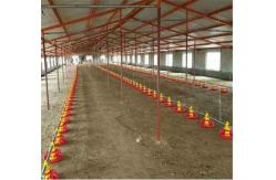 China Automatic Chicken Feeder System Broiler Poultry Equipment supplier