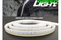 China 1630lum 220V 17W/M LED Flexible Strip Lights Anti Explosive RGB SMD2835 supplier