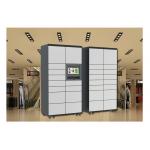 Supermarket Park Cabinet Rental Lockers , Pin Code Electronic Smart Storage Lockers for sale