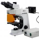 40x - 1000x LED Trinocular Fluorescence Microscope For Research / Learning for sale