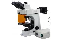 China 40x - 1000x LED Trinocular Fluorescence Microscope For Research / Learning supplier
