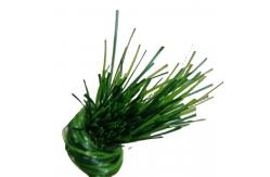 China Polypropylene Monofilament Artificial Turf Yarn For Fibrillated Grass Eco Friendly supplier