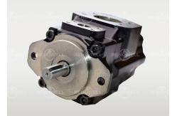China T6CCZ B20 B12 Denison Vane Pumps High Performance For Industrial Use supplier