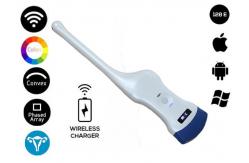China Double Head Transvaginal Array Wireless Ultrasound Probe 3.5MHZ supplier