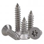 Torx Tamper Proof Self Tapping Screws for sale