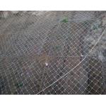 Flexible Protection Wire Mesh , Stainless Steel Wire Mesh Netting For Slope for sale